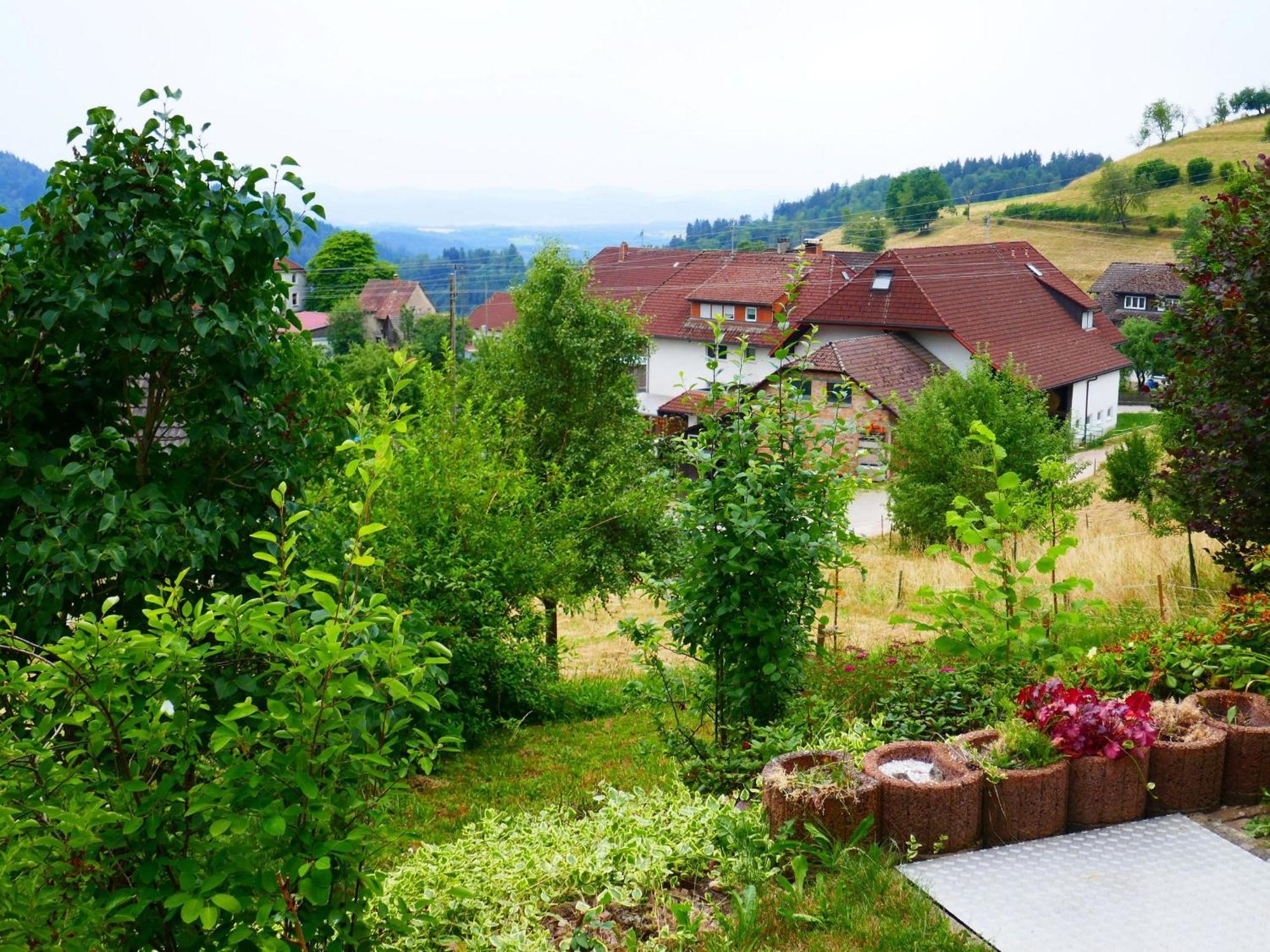 Haus Landblick Apartamento Zell im Wiesenthal Exterior foto